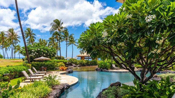 Un complexe hôtelier tropical doté d’une piscine, de chaises longues et de palmiers.