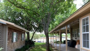 A covered outdoor area with a tree, a brick building, and a covered porch.