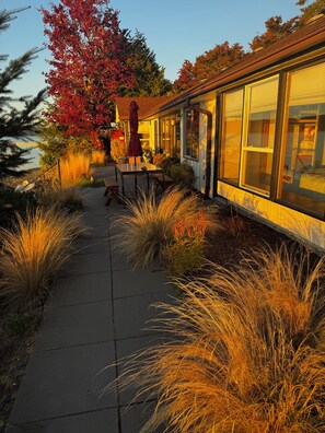 A pathway leading to a building with large windows and a view of a tree with red leaves. - Experience ‘The Magic Hour'; where Heaven meets Earth on the Hood Canal..... (Belfair)