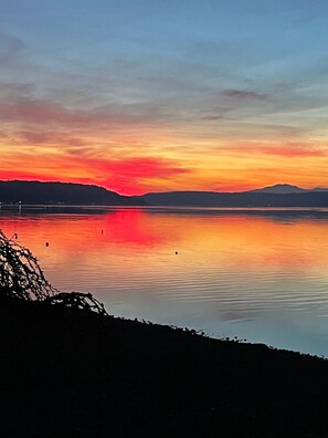 En la playa, camastros y toallas de playa 
