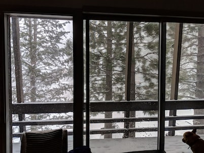 Mammoth 3 BD 2 BA Condo with Balcony, Patio - Pet Friendly