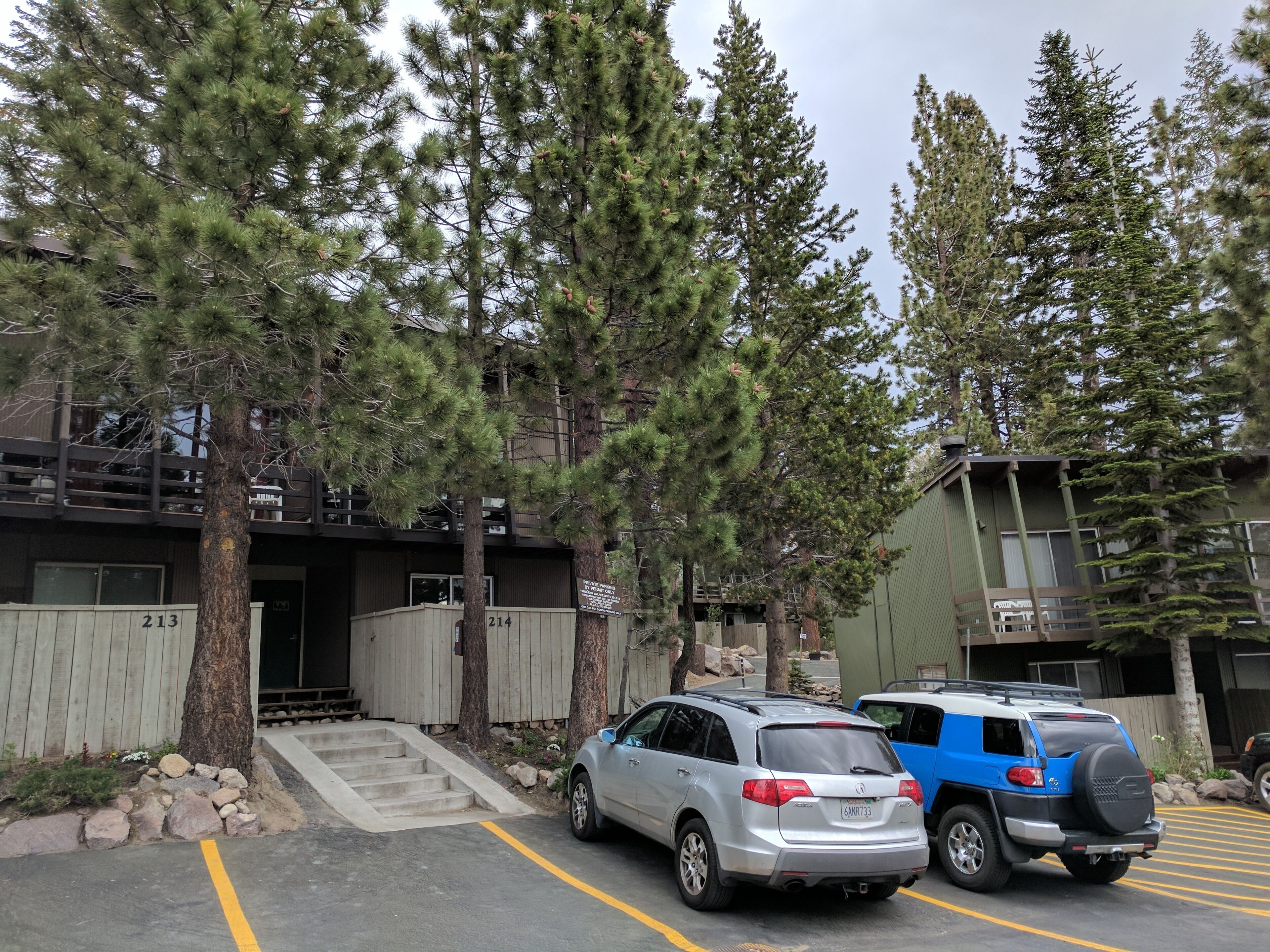 A parking area with two cars, a building with a ramp entrance, and tall pine trees.