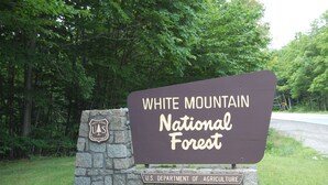 A sign for White Mountain National Forest with the U.S. Department of Agriculture logo.