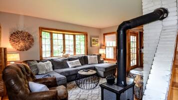 TV connectée, cheminée, Netflix, lecteur de DVD