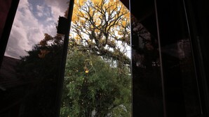 A view through a window with a tree and a partly cloudy sky. - Aardvark Inn Pousada (Gramado)