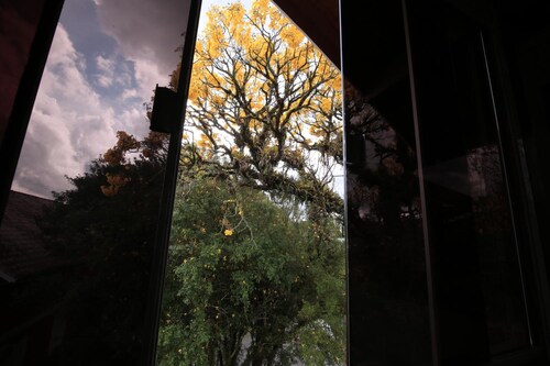 Aardvark Inn Pousada