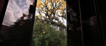 Aardvark Inn Pousada