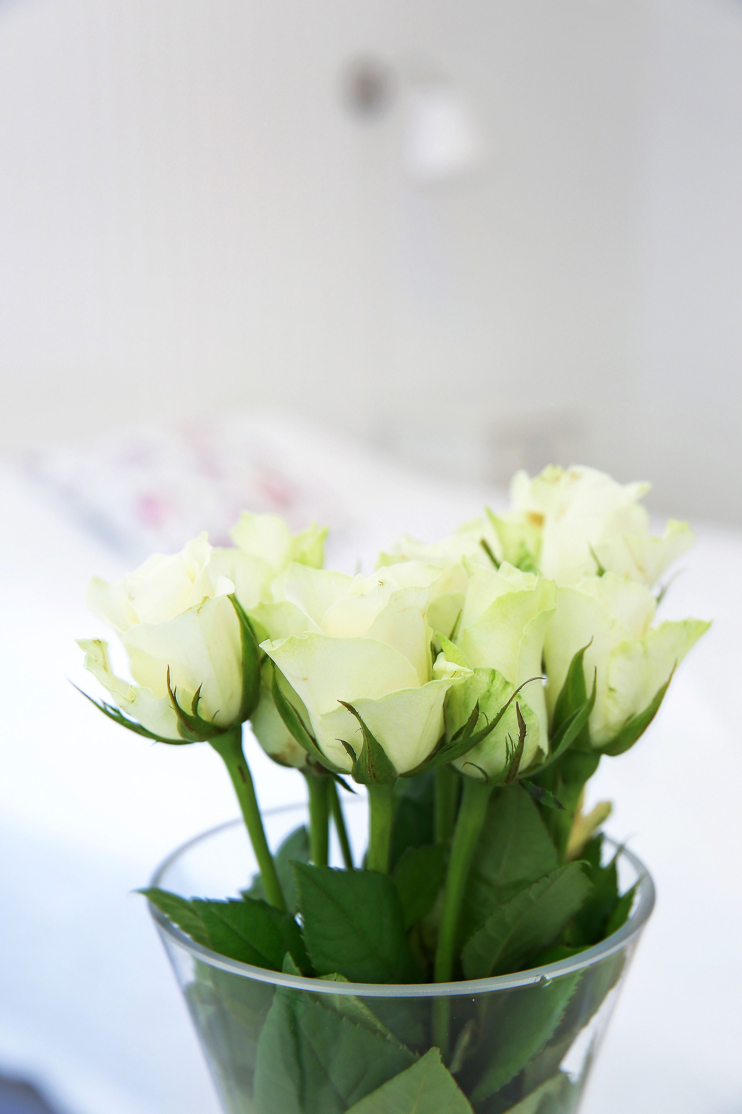 A clear glass vase containing white roses.