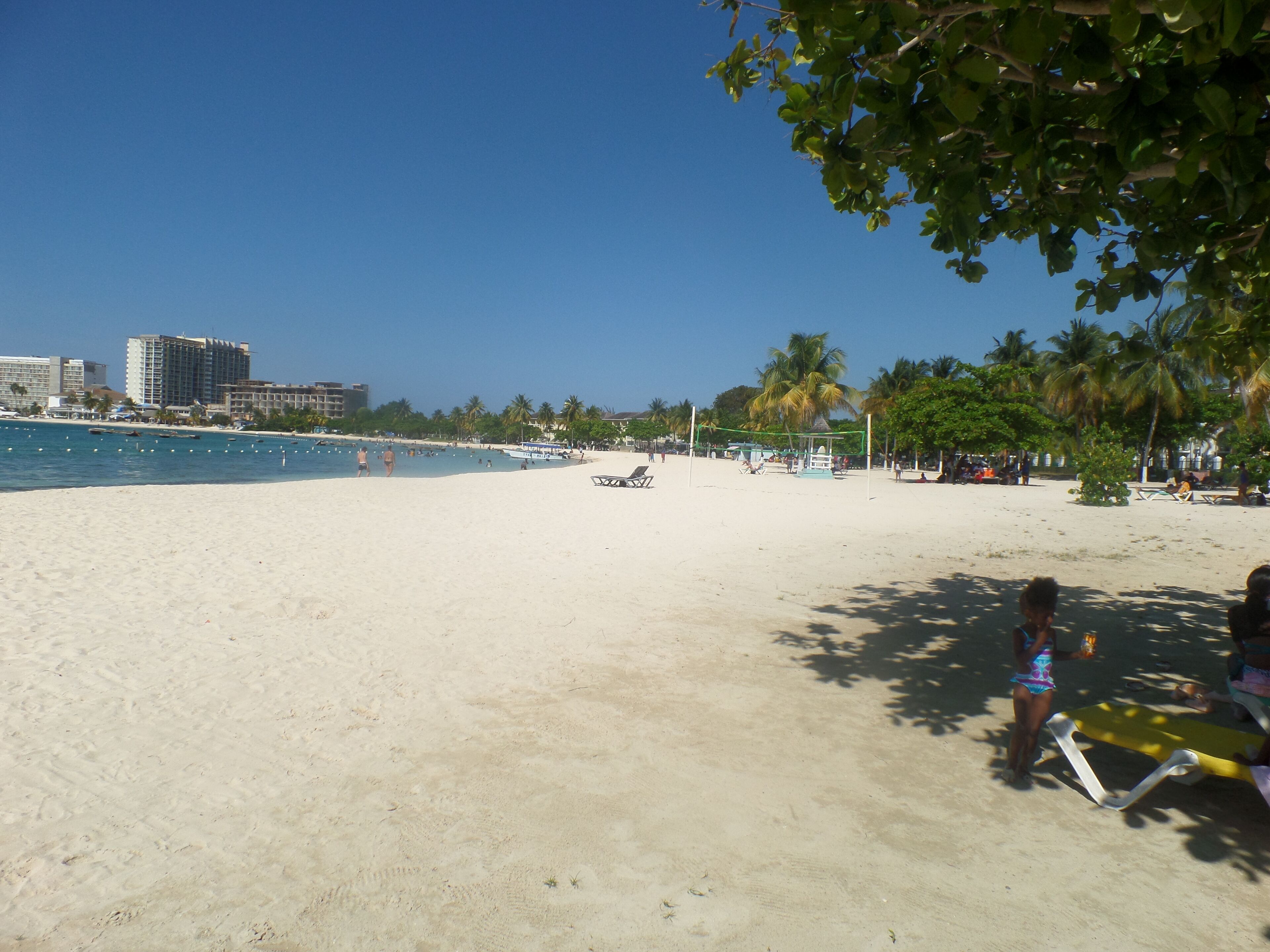 Une plage avec un ciel dégagé, des palmiers et quelques personnes.
