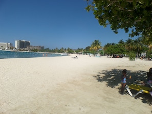 A beach with clear skies, palm trees, and a few people.