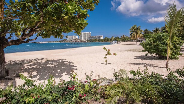A beach with a tree in the foreground, a sandy shore, and a hotel in the background. - Turtle Towers Apartments (Ocho Rios)