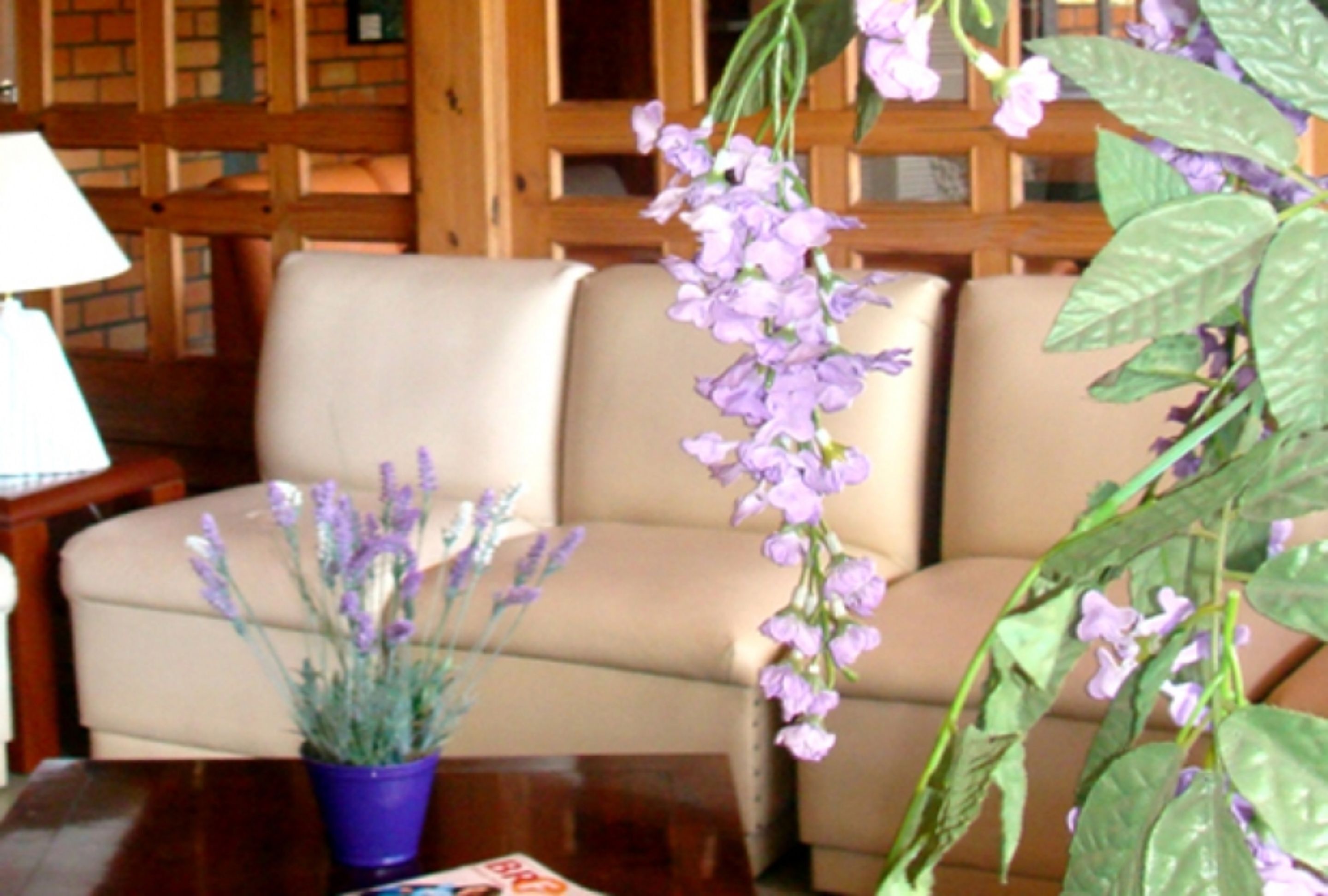 テラス / パティオ