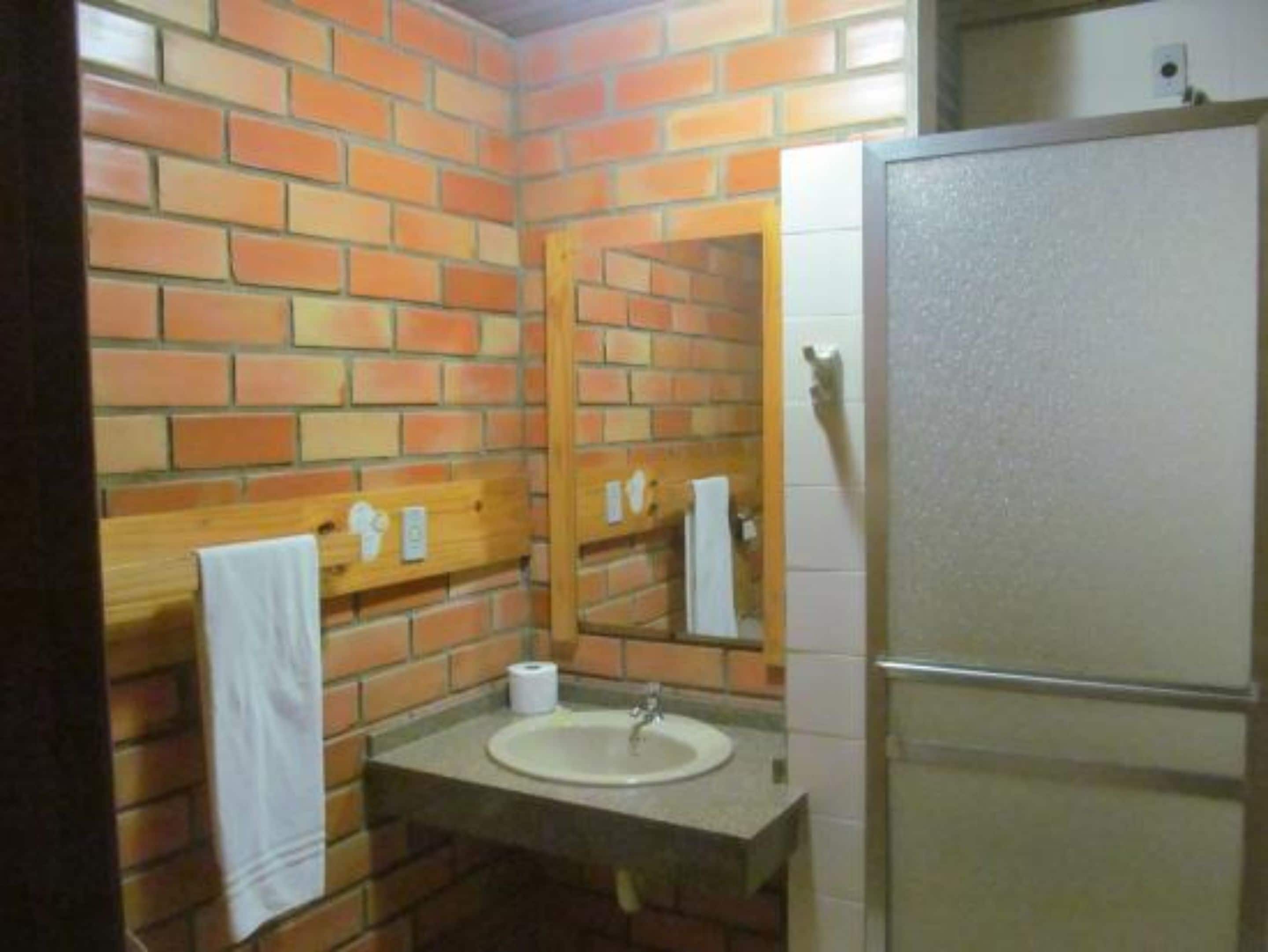 Un baño con lavamanos, espejo y toallero frente a una pared de ladrillo.