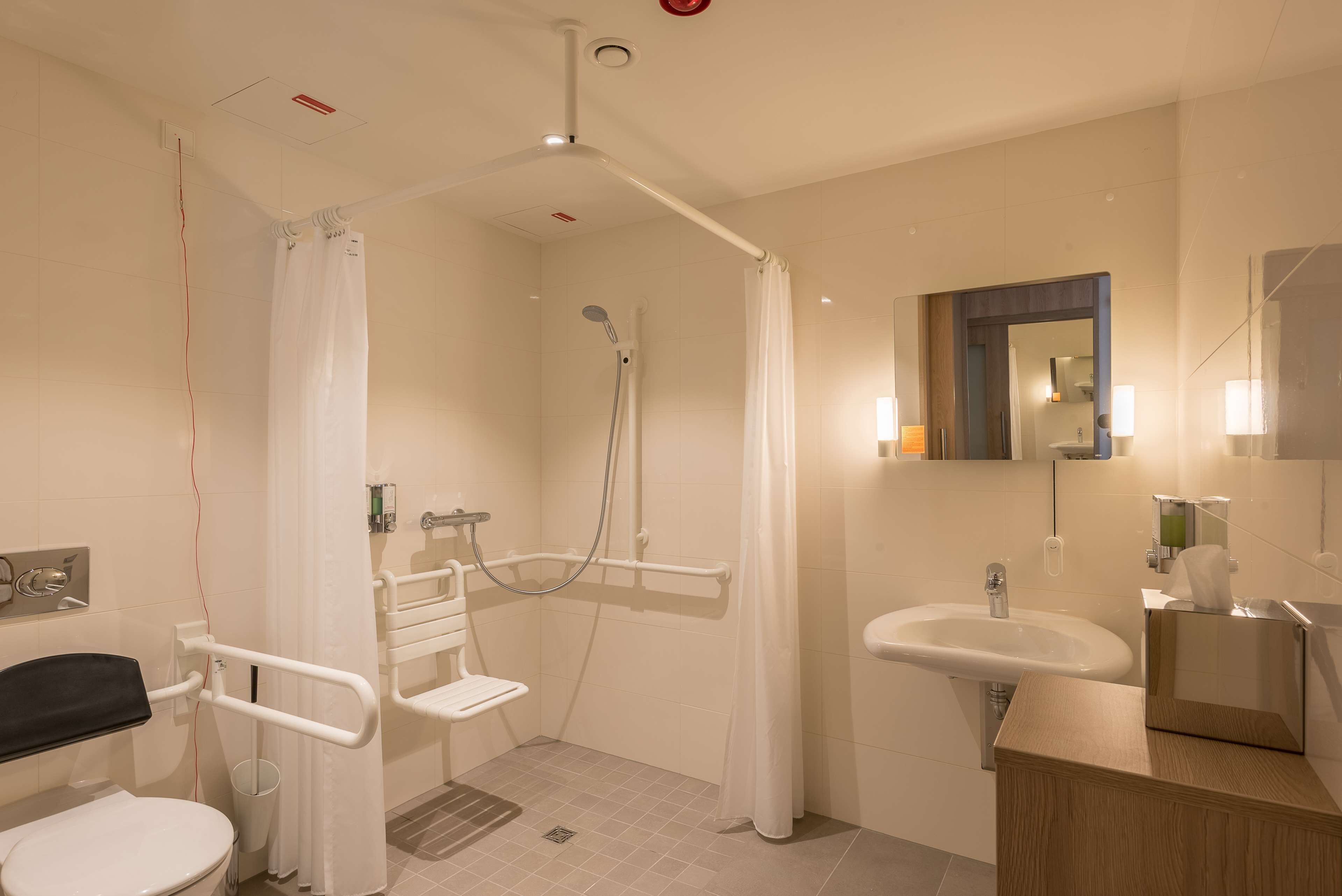 room, 1 queen bed, accessible, non smoking | bathroom shower