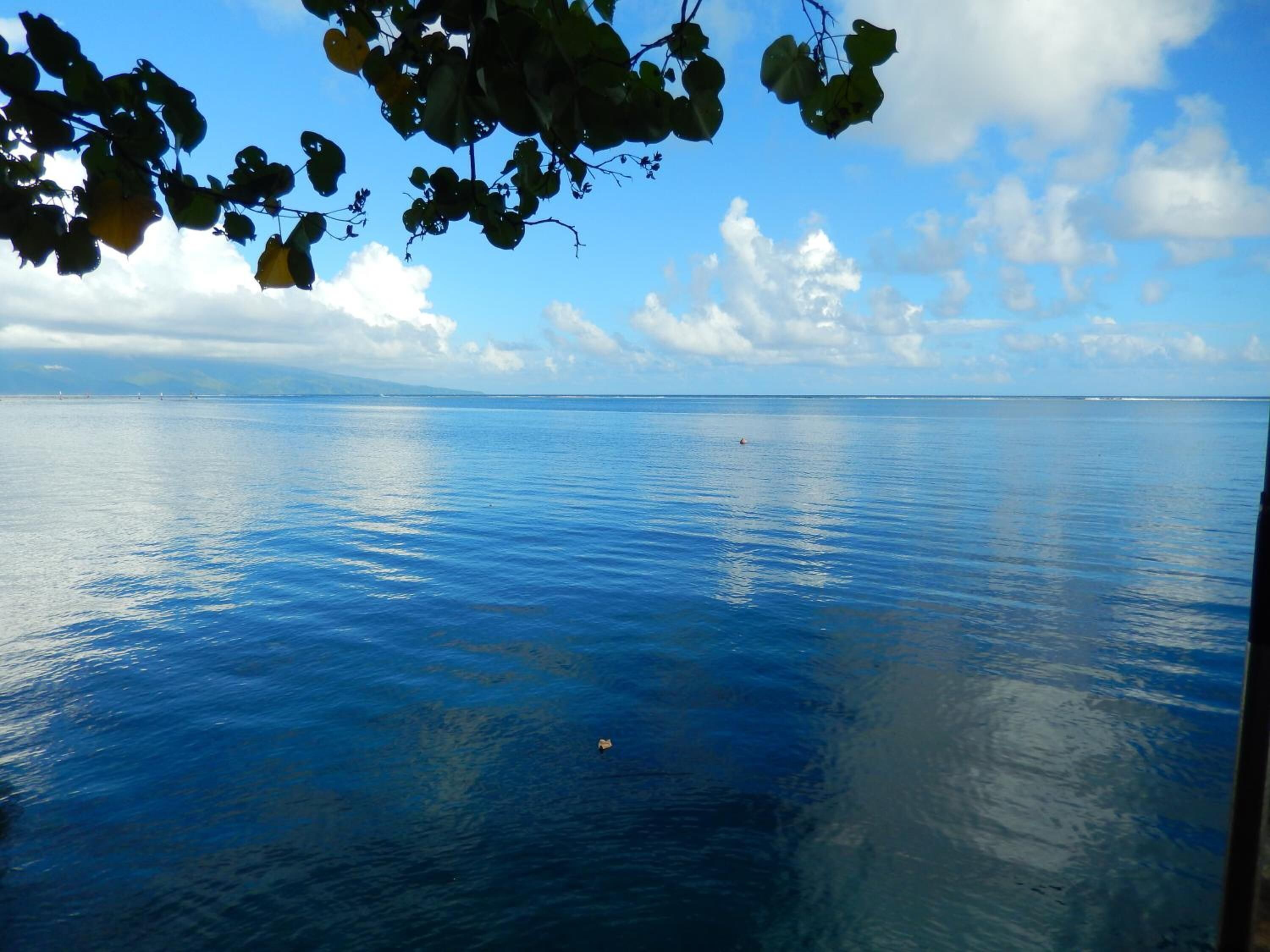 A calm sea with a clear sky and distant land.