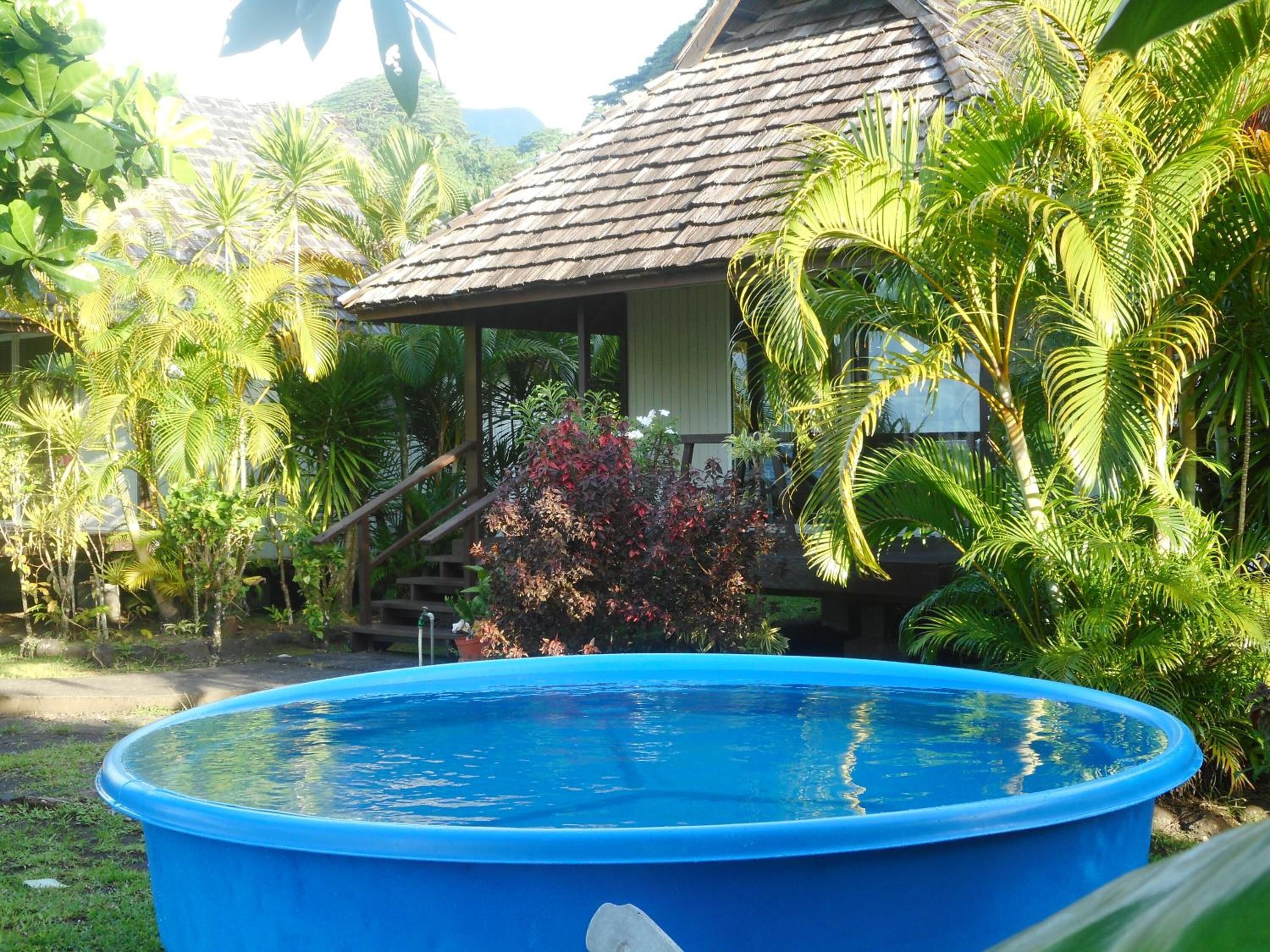 A blue swimming pool surrounded by lush tropical vegetation and a thatched-roof structure.