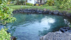 Una piscina cristalina rodeada de rocas y vegetación exuberante, con una pequeña casa al fondo.