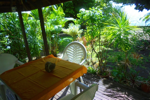 Terraza o patio