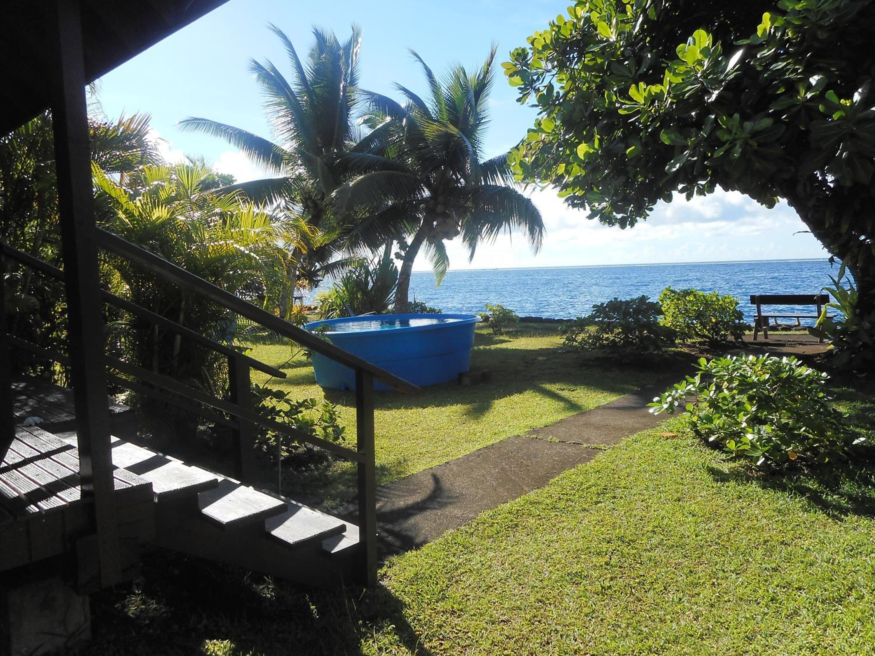Un camino que lleva a una piscina con vista al océano, rodeada de palmeras y vegetación.