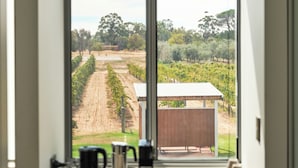 Uma cozinha com uma janela ampla com vista para um vinhedo.