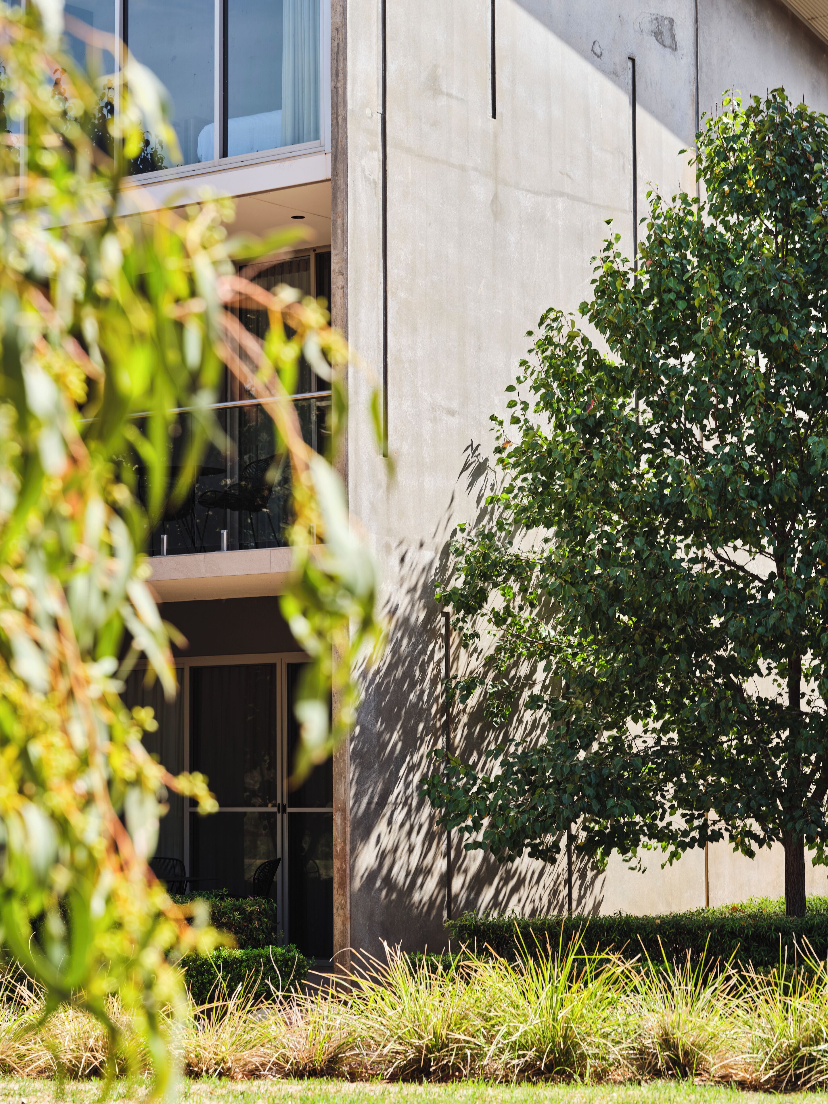 A modern building with a glass facade, a concrete exterior, and a well-maintained lawn with a tree.