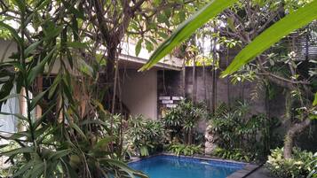 Outdoor pool, sun loungers