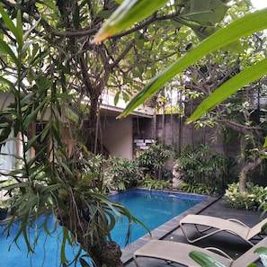 Outdoor pool, pool loungers - Jukung Guest House (Denpasar)