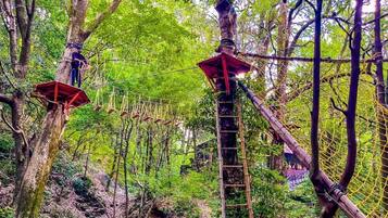 A forested area with rope bridges and a ladder.