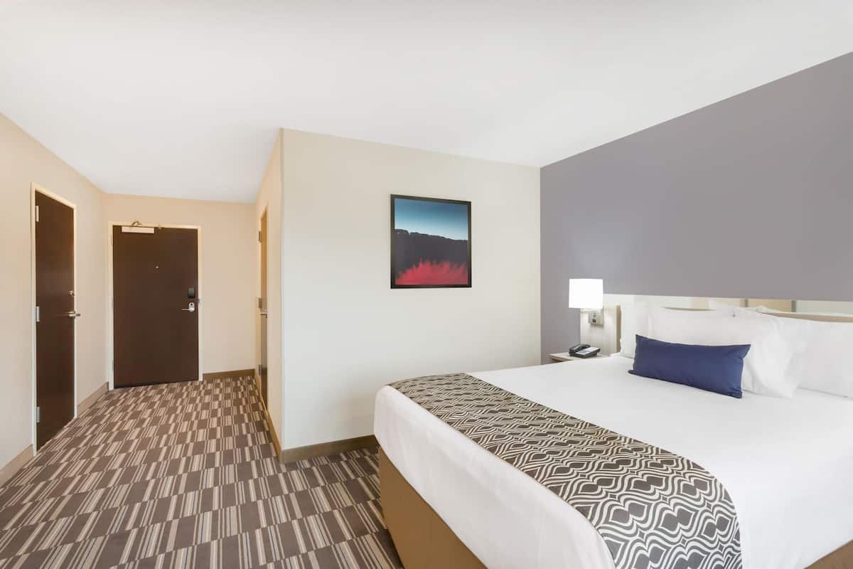 Ett hotellrum med en säng, ett nattduksbord, en lampa, en dörr och en tavla som hänger på väggen.