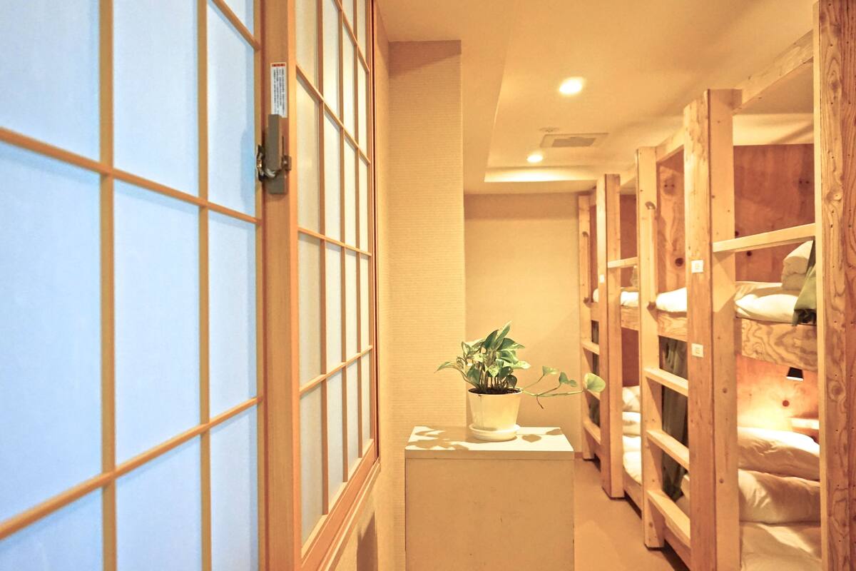 A hallway with wooden bunk beds and a potted plant.