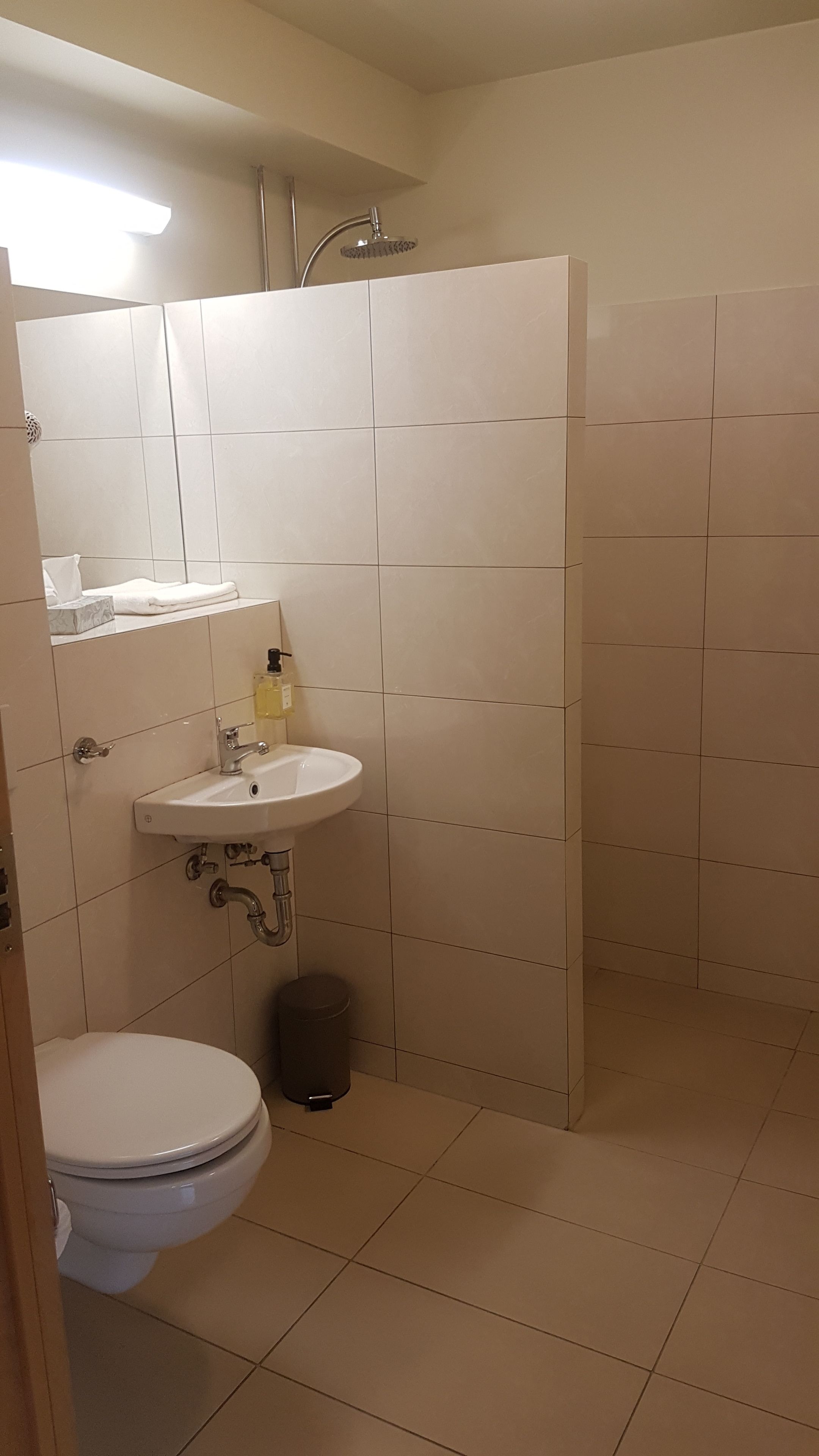 triple room | bathroom | shower, free toiletries, hair dryer, towels