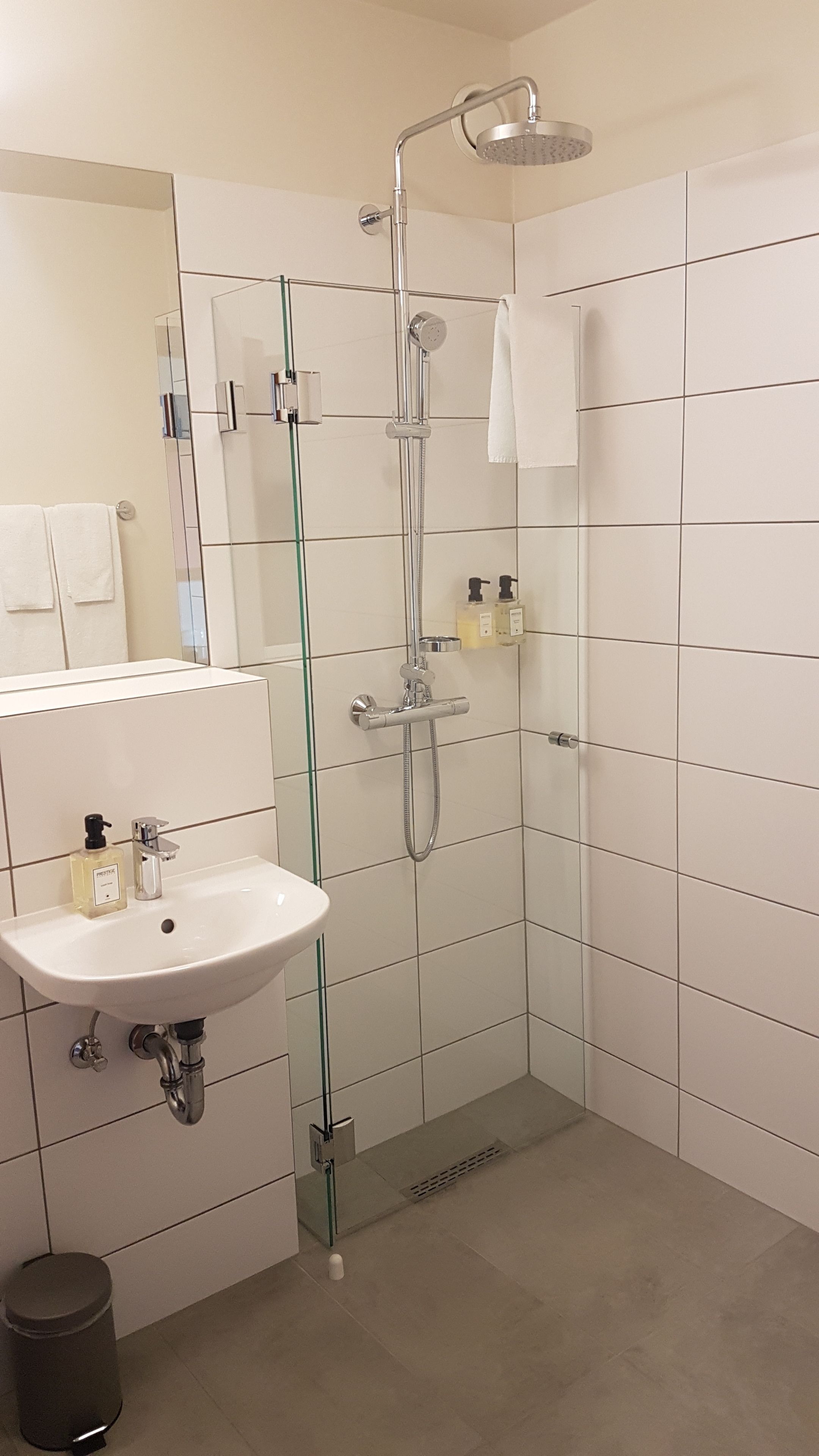 standard double or twin room, 2 single beds | bathroom | shower, free toiletries, hair dryer, towels