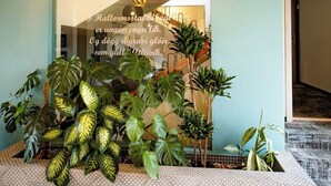 Um interior moderno com escadaria, um grande arranjo de plantas e piso estampado.
