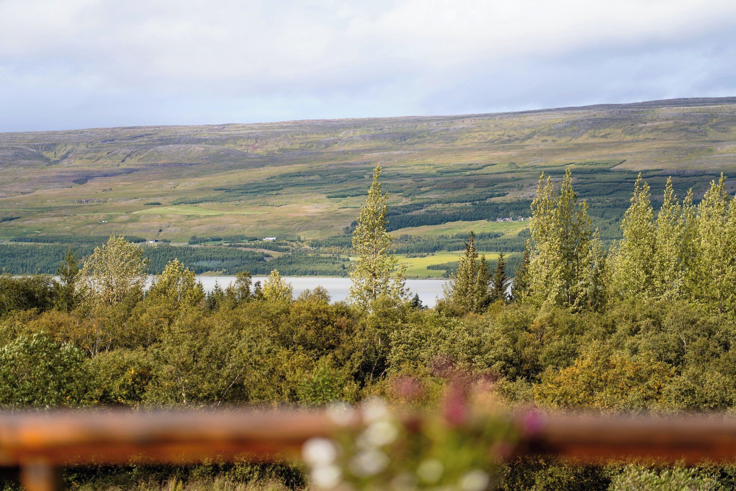 A landscape with a lake, hills, and trees.