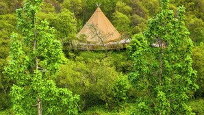Uma cabana cónica tradicional rodeada por uma floresta verde densa.