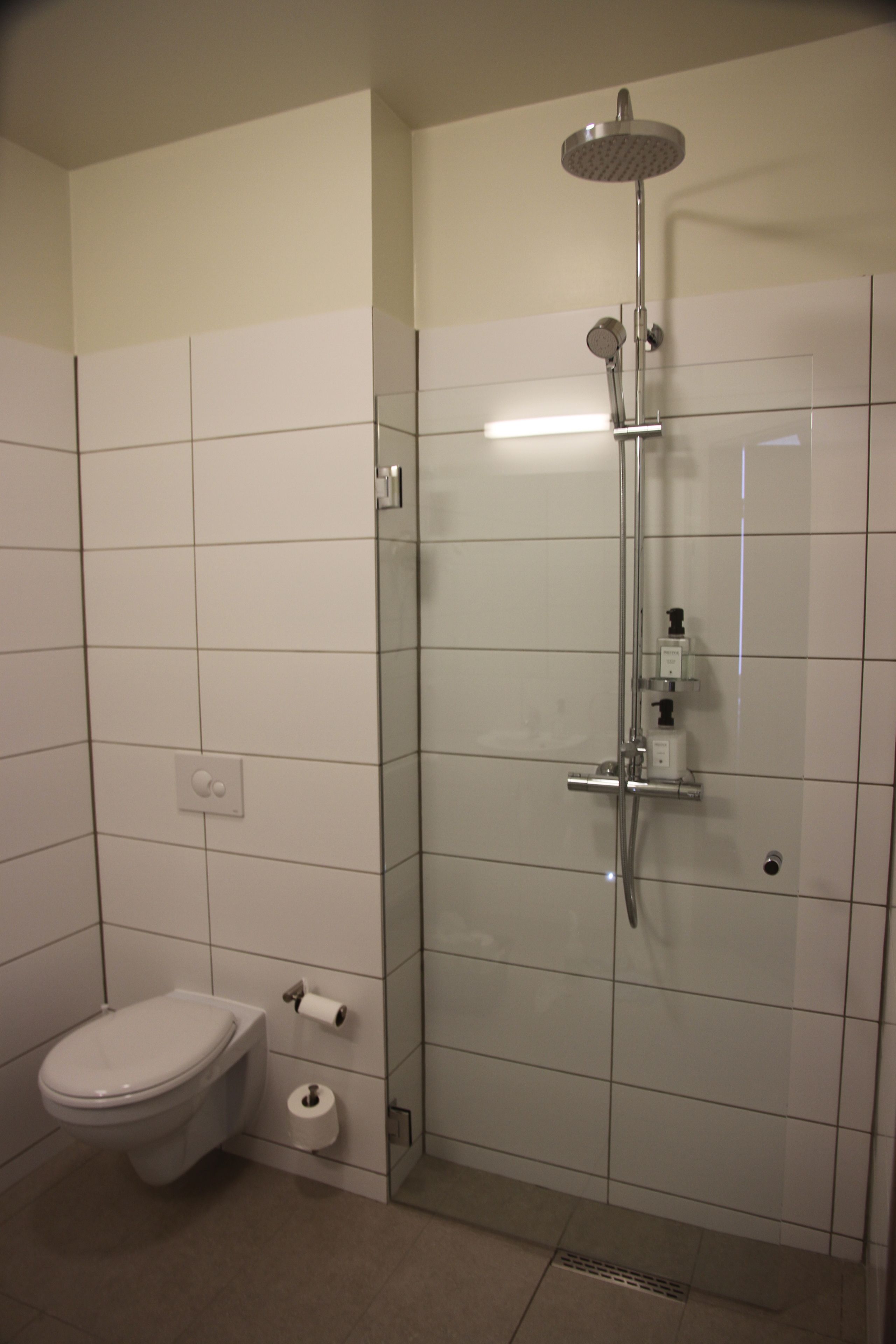 twin room, lake view | bathroom | shower, free toiletries, hair dryer, towels