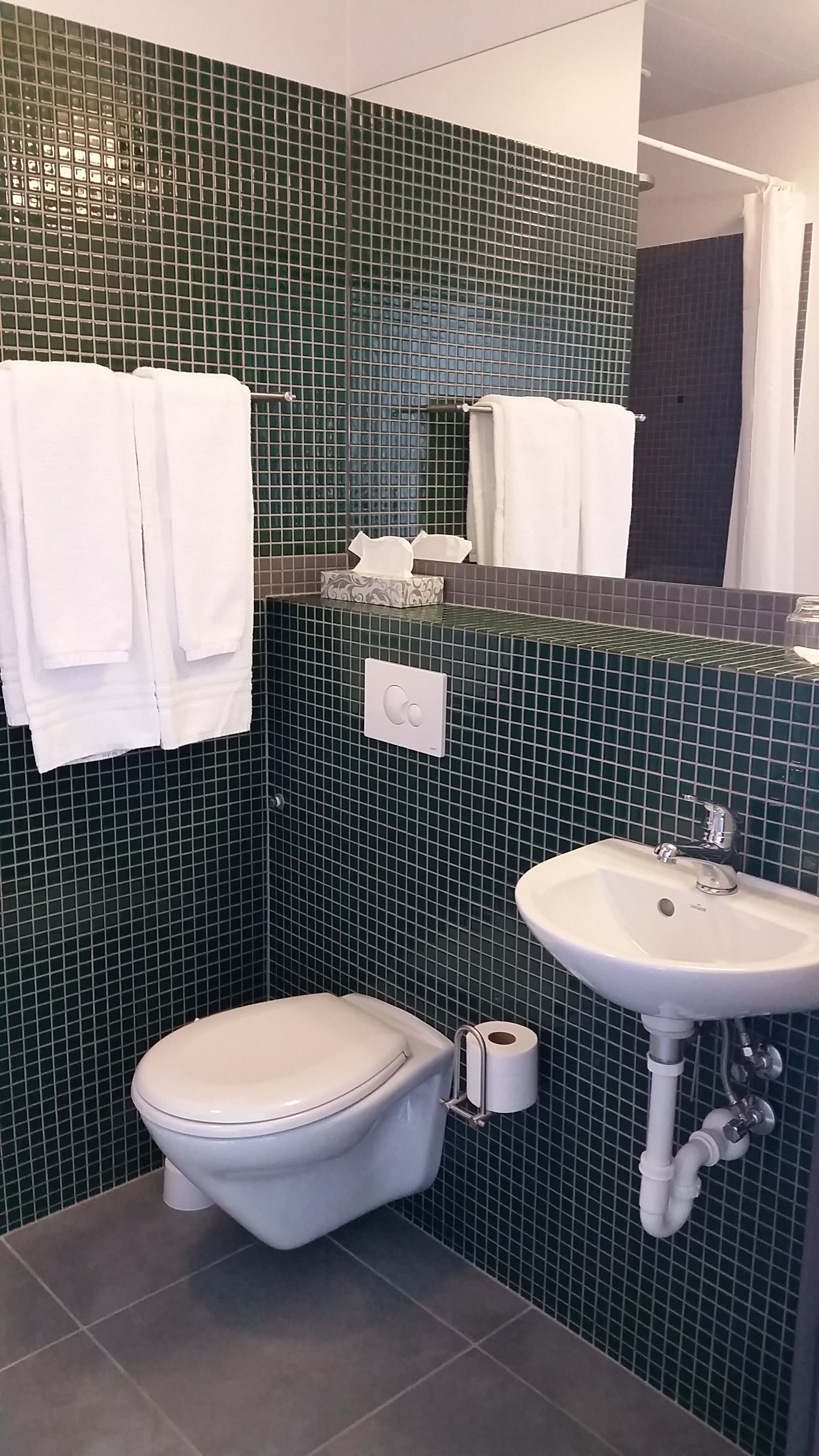 standard double room | bathroom | shower, free toiletries, hair dryer, towels