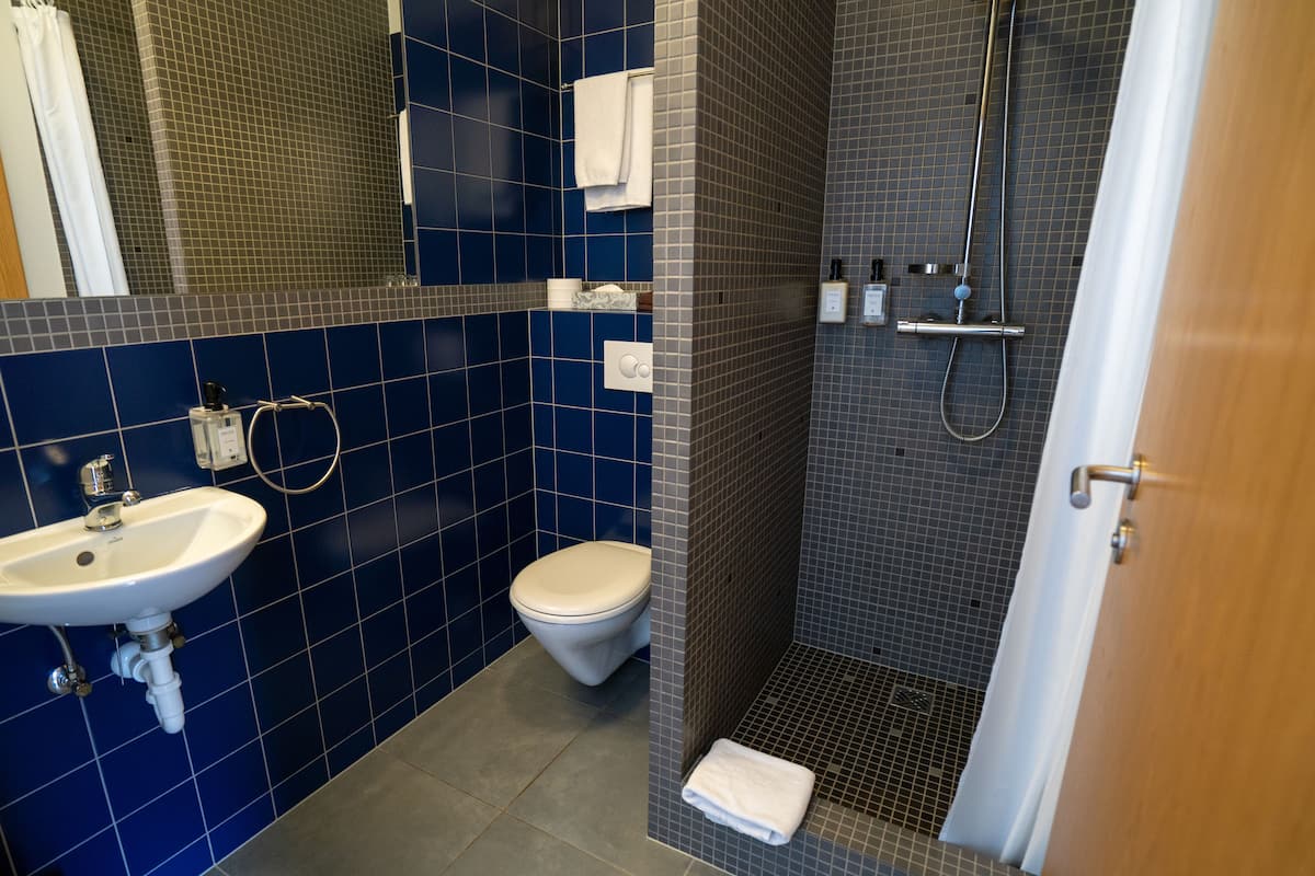 shower, free toiletries, hair dryer, towels