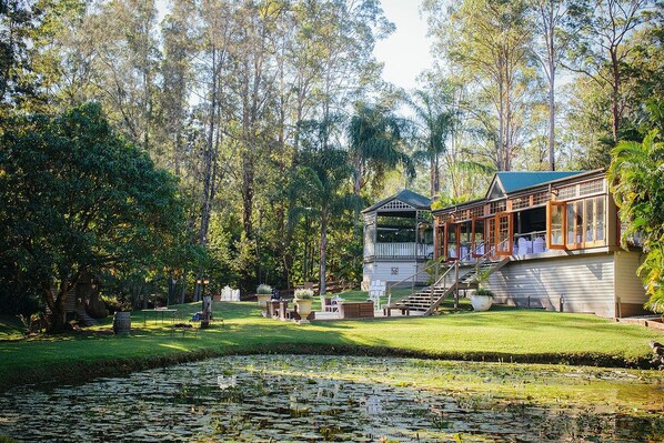 Garden - Ecostudio Fellini (Mudgeeraba)