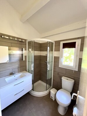 A modern bathroom with a glass-enclosed shower, a white sink, and a toilet.