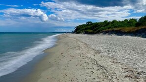Una playa con arena y un acantilado cubierto de hierba.
