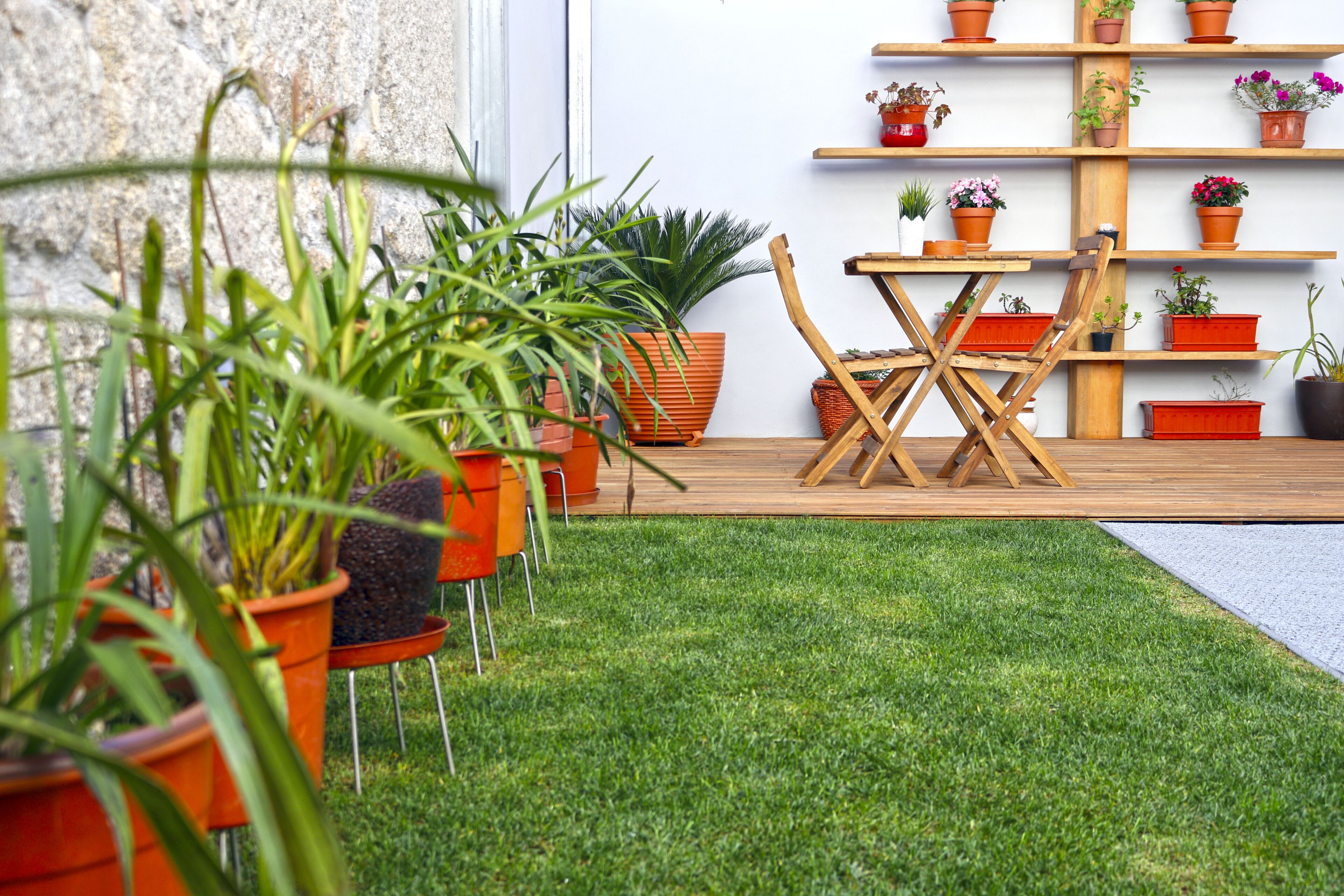 Photo - Lusitana Hotel