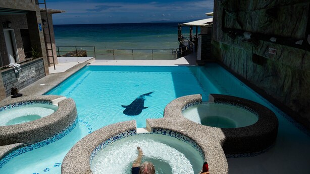 A swimming pool with a shark silhouette, a person in a hot tub, and a view of the ocean.