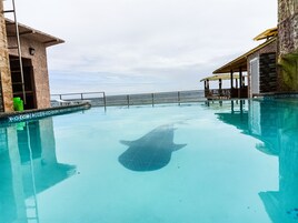 Una piscina azul cristalina con una torre de salvavidas y una zona de descanso cubierta.