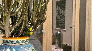 Un cactus planté dans un pot décoratif devant un hôtel appelé « OMVS MARIS ».