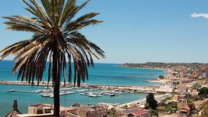 Une ville côtière dotée d’un port de plaisance, de bâtiments et d’un palmier remarquable.