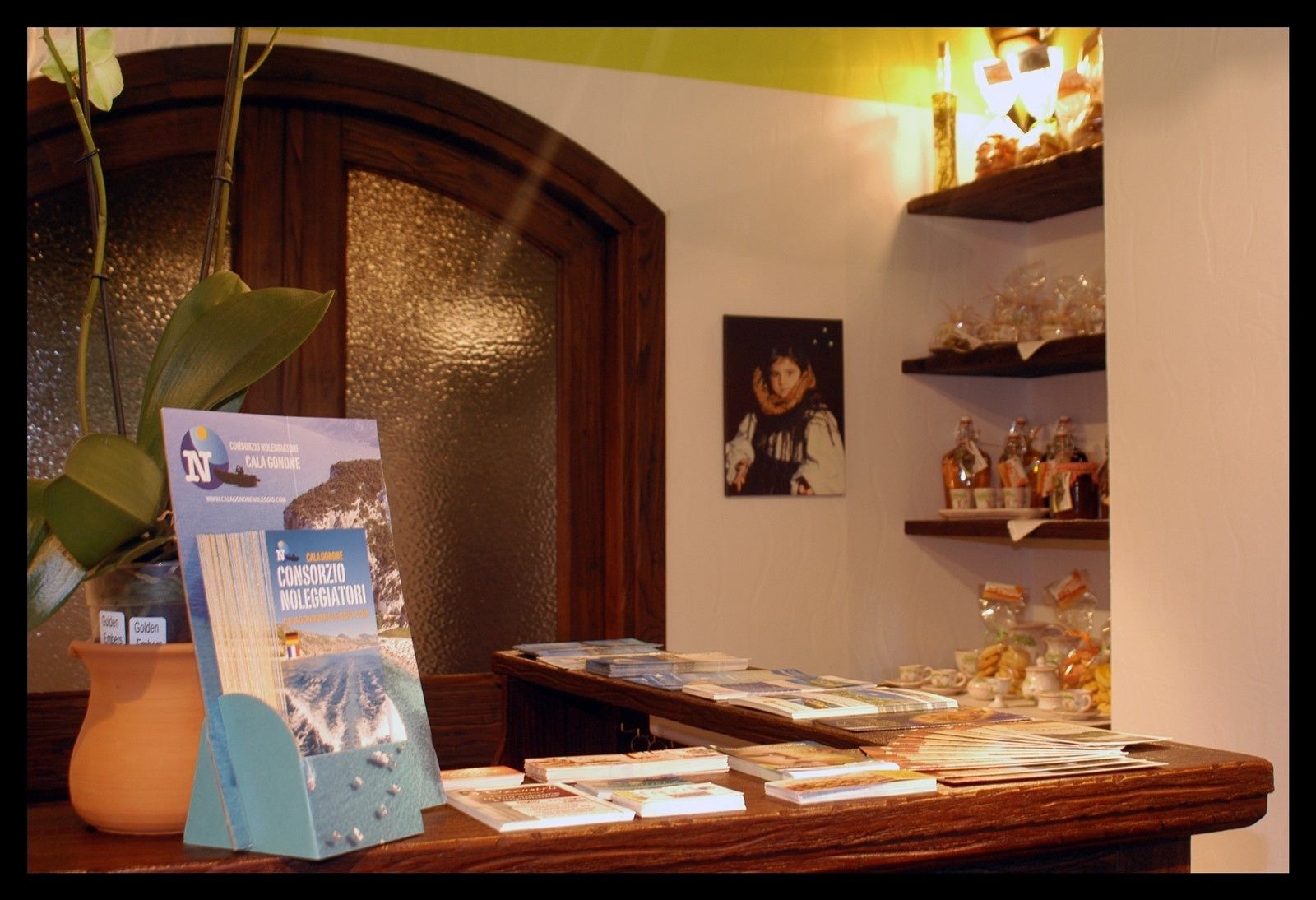 Un'area reception con una scrivania in legno, brochure in mostra e una pianta in vaso.