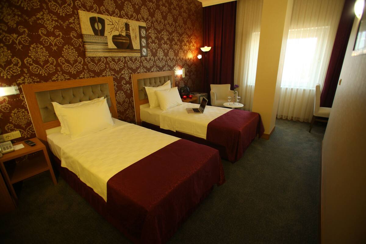 Standard Double Room | Minibar, desk, soundproofing, iron/ironing board (on request)