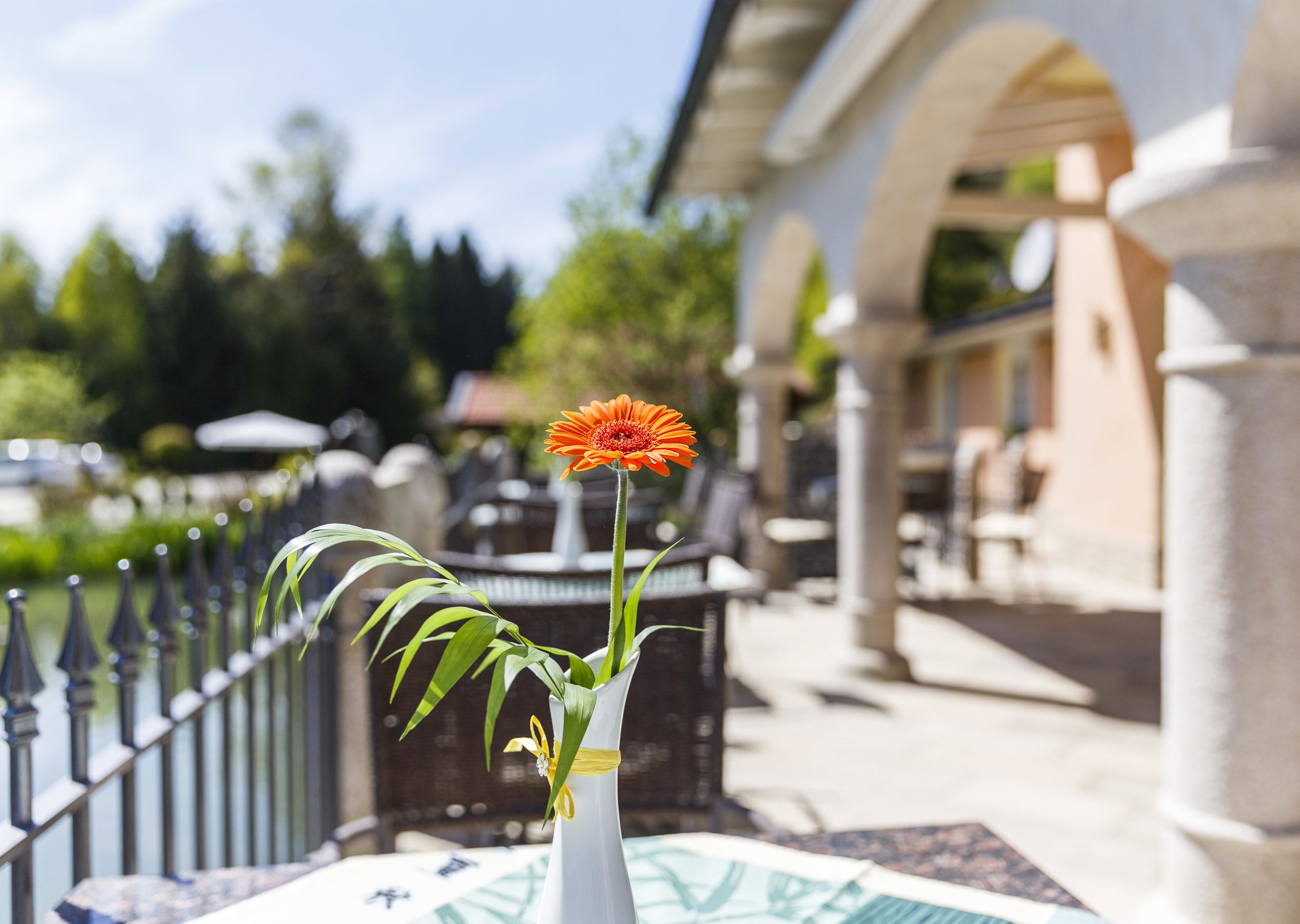 breakfast and dinner served, local and international cuisine