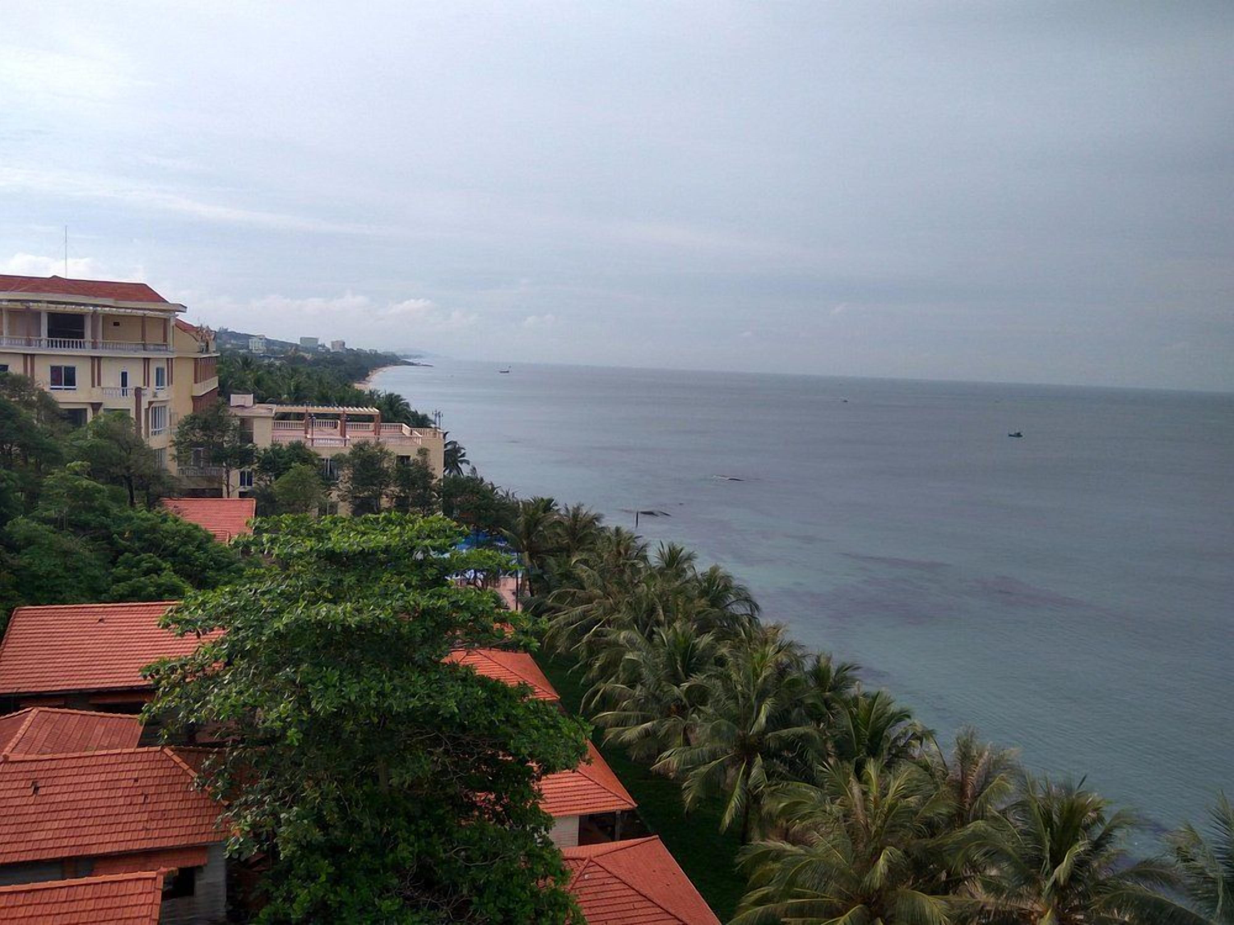 A coastal view with buildings and palm trees.